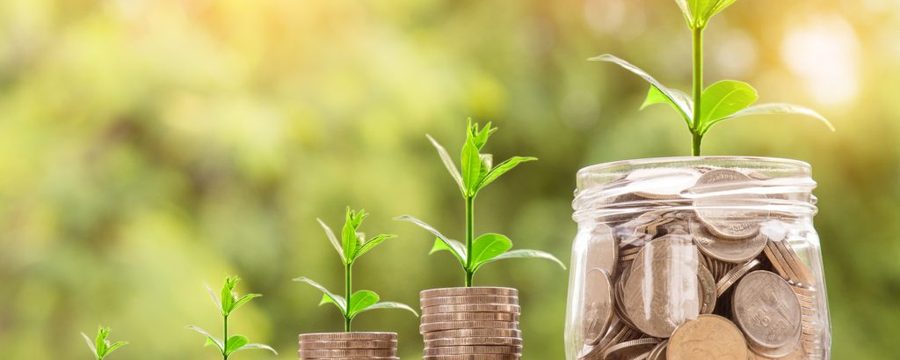 Wachsende Münzstapel symbolisieren den Vermögensaufbau für die Altersvorsorge